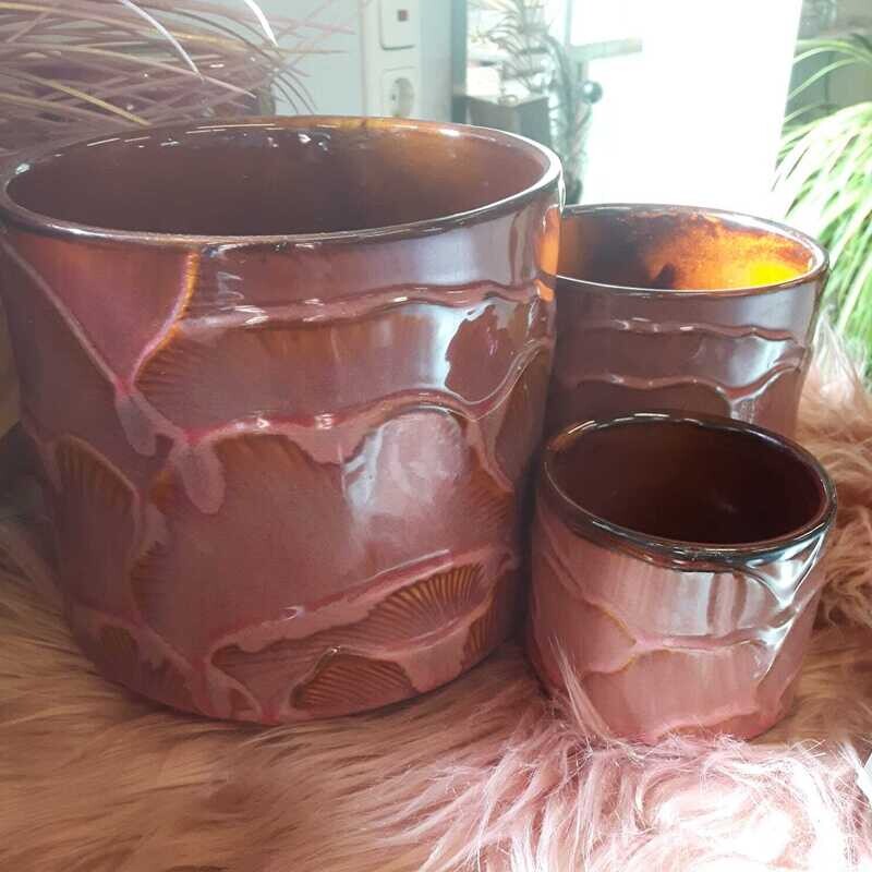 Pot - Gingko rosé