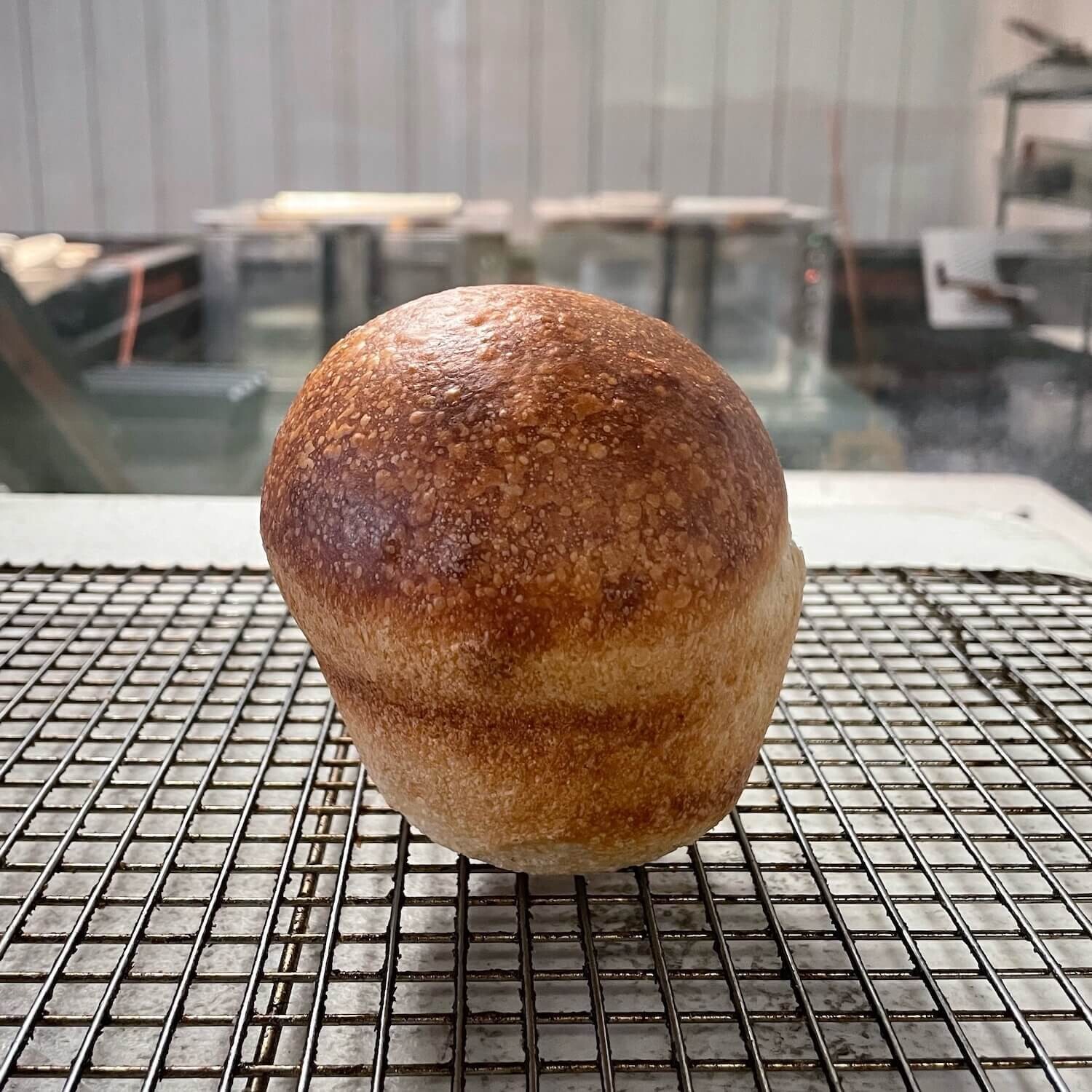 Original Mini Sourdough Bread