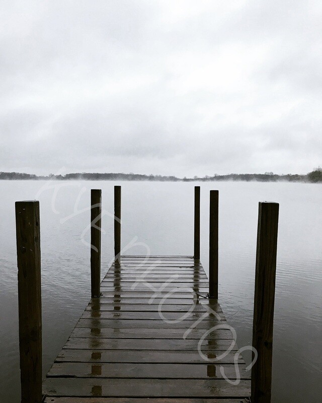 Lakeside Fog