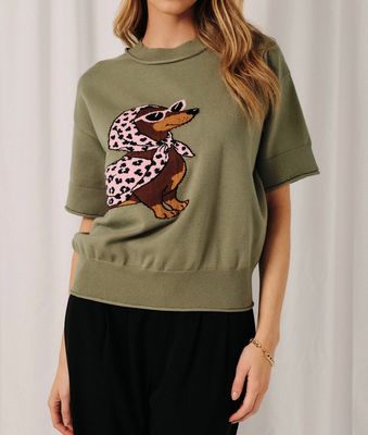 Doxie Diva Knit