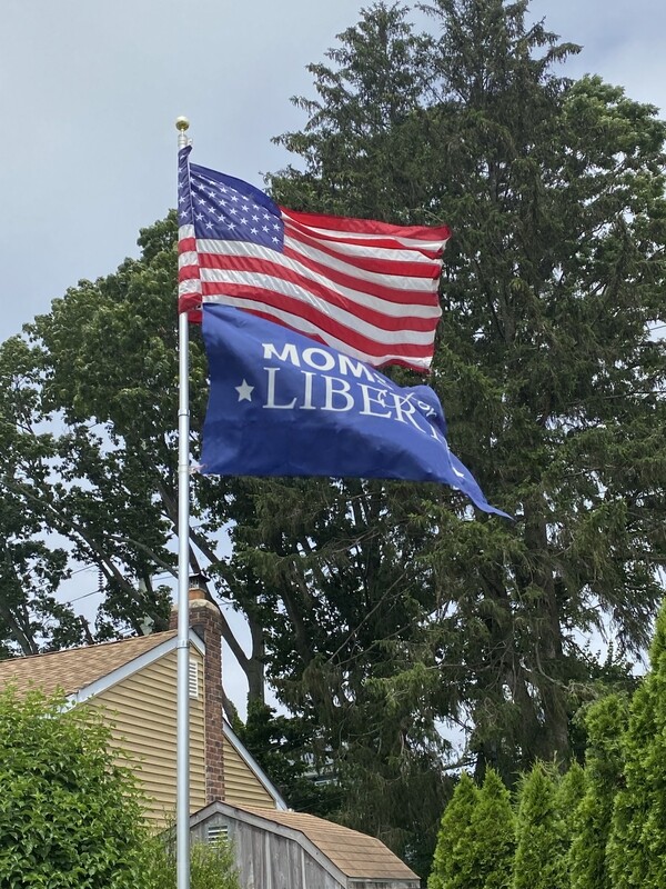Moms for Liberty Flags