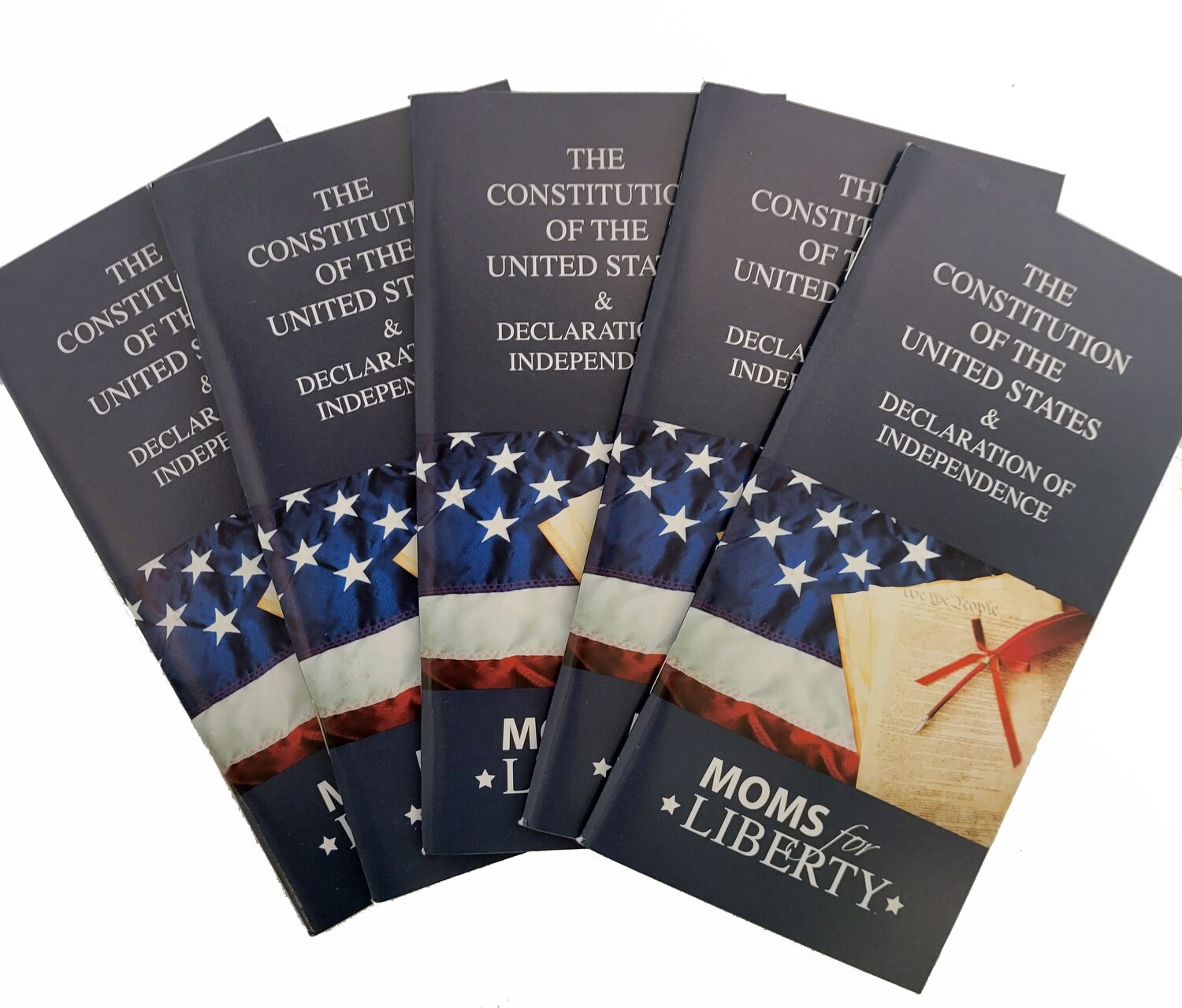 20 Custom Constitutions