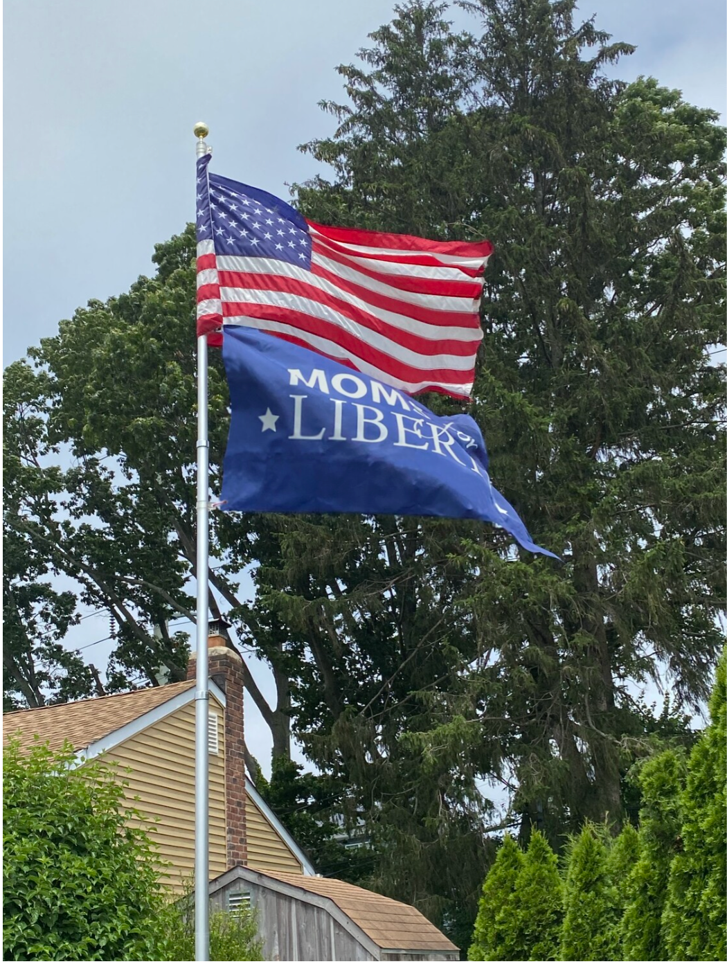 Moms for Liberty Flags, Size: 2' X 3'