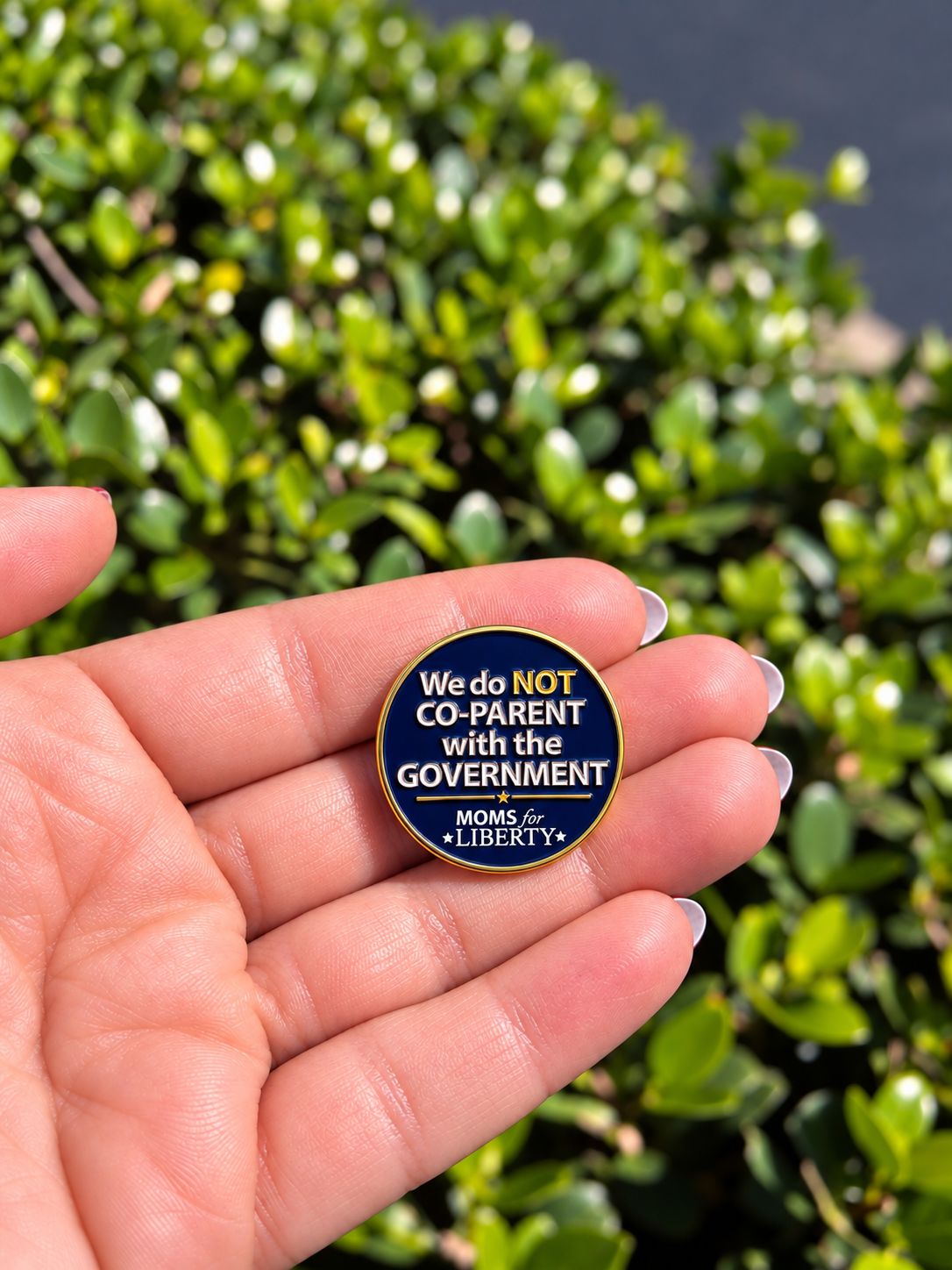 We Do Not Co-Parent with the Government Lapel Pin