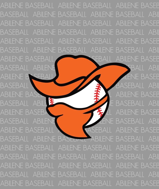 Baseball Blanket