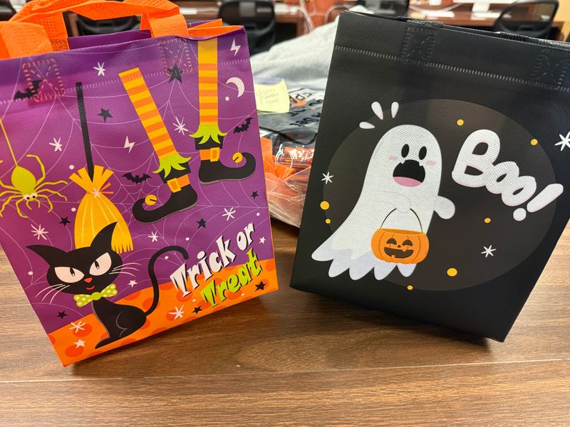 SPOOKTACULAR FUN BUNDLE - Reusable bag
