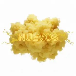 Categoria Nuevos