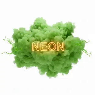 Categoria Neon Party