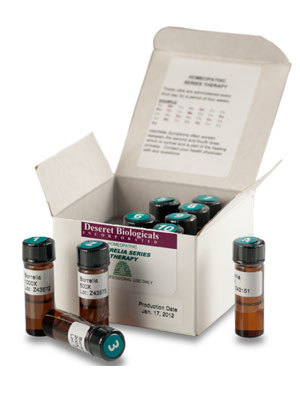 Candida Albicans Kit