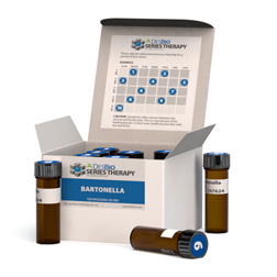 Bartonella Series Therapy Kit