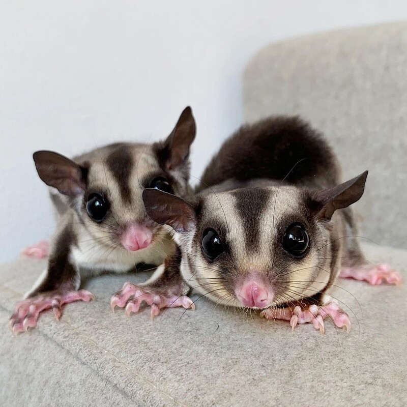 Stacy &amp; Berty