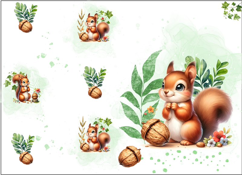 Carnet de santé bébé