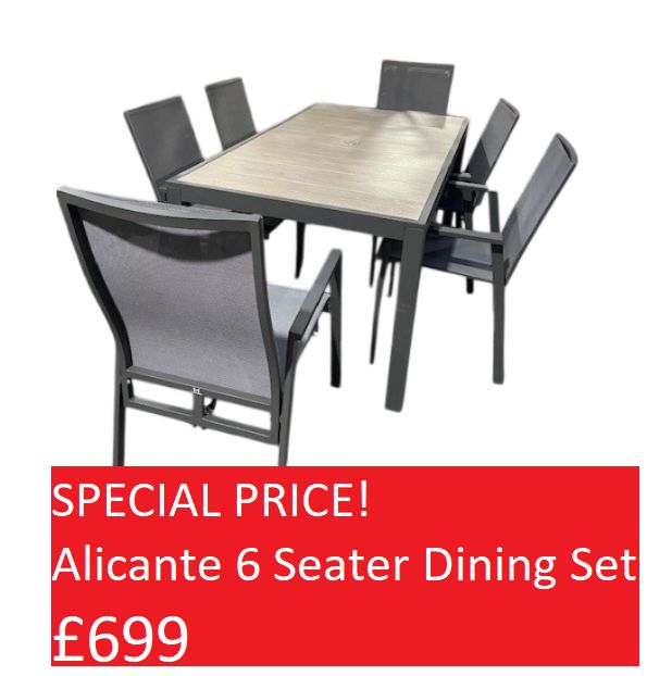 Alicante Rectangle 6 Seater plus a free cover