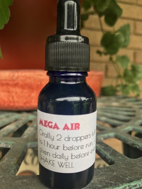 Mega Air