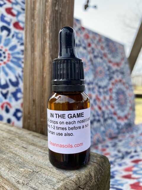 IN THE GAME