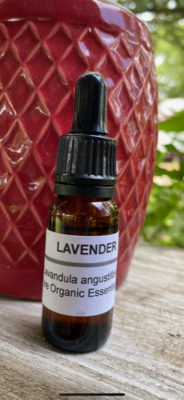 Pure Organic Lavender (Lavandula angustifolia)