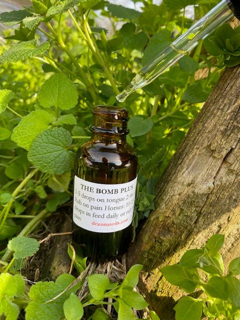 The Bomb Plus (formally Morphine Bomb Plus)