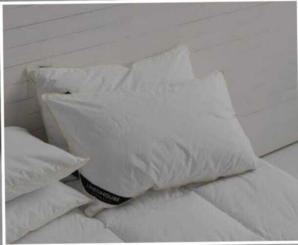 EXCEED FEATHER DOWN PILLOW- LINEN HOUSE 