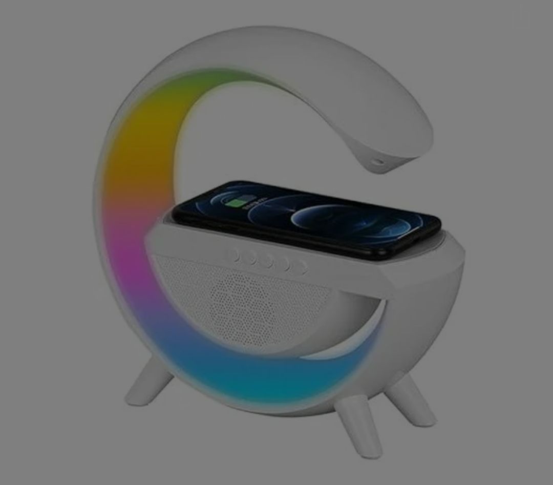 2IN1 SPEAKER