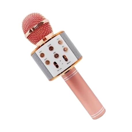 KARAOKE MICROPHONE