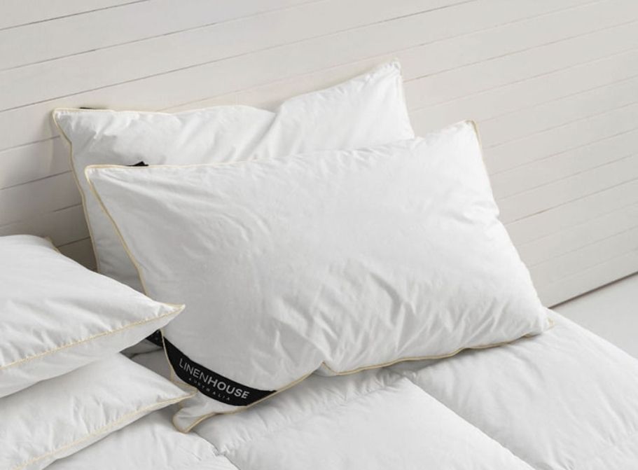 LINEN HOUSE KING FEATHER PILLOW