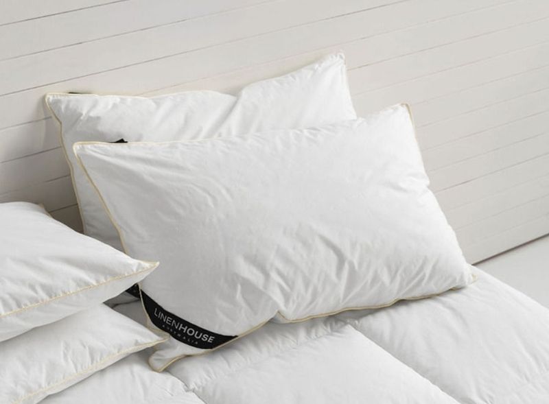LINEN HOUSE KING FEATHER PILLOW