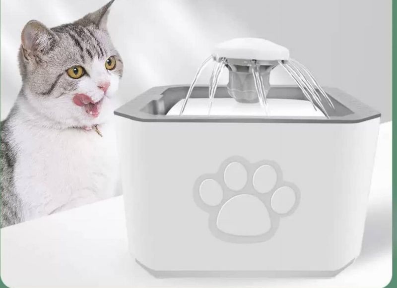 PET WATER FOUNTAIN