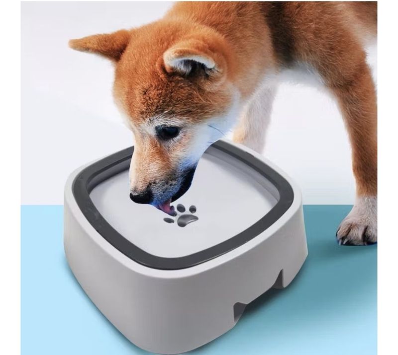 PET WATER BOWL