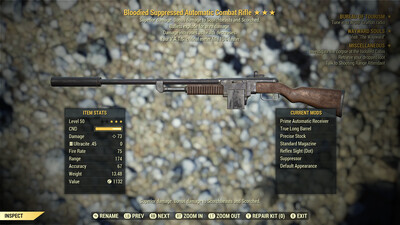 Bloodied Explosive 15 Combat Rifle