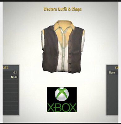 Western Outfit &amp; Chaps