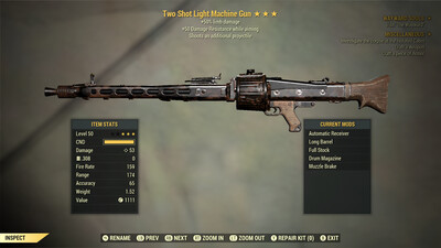 Two Shot 50/50 Light Machine Gun