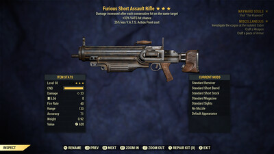 Furious 33/25 Assault Rifle