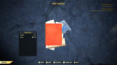 Vault Girl
