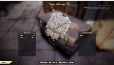 Tattered Field Jacket 
