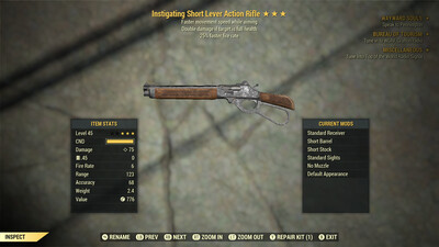 Instigating 25/FMSWA Lever Action