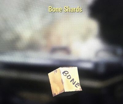 Bone Shards X50