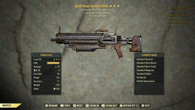 Quad 25/50 Assault Rifle