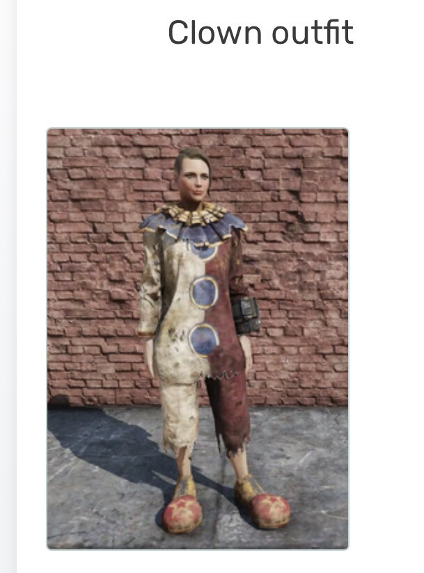 Clown Outfit + Hat