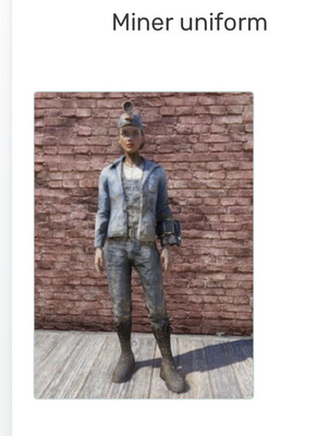 Miner Outfit + Hat