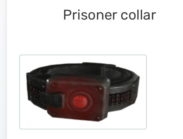Prisoner Collar