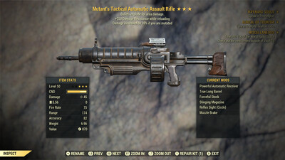 Mutant Explosive 250 Assault Rifle
