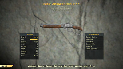 Two Shot 50/FMSWA Lever Action Rifle