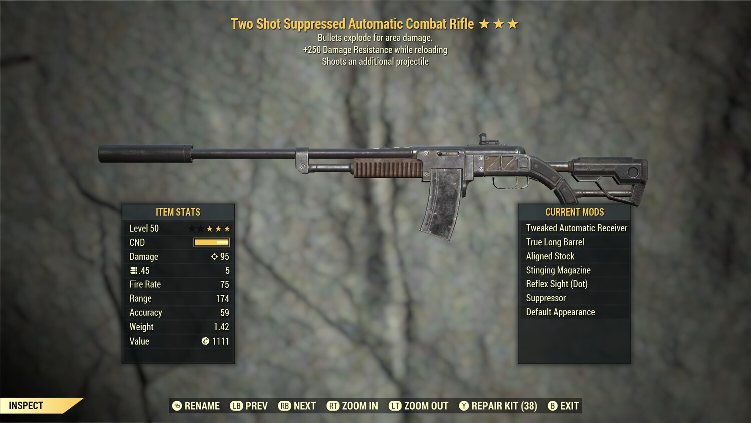 Two Shot Explosive 250 Combat Rifle