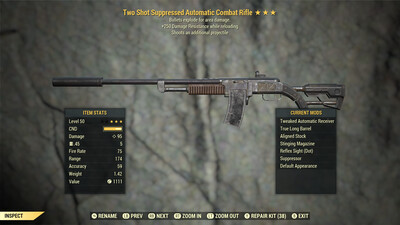 Two Shot Explosive 250 Combat Rifle