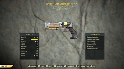 Two Shot 25/FMSWA Laser Pistol/Rifle 