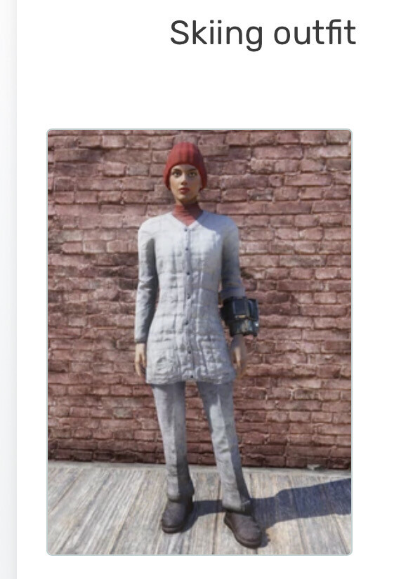 Skiing Outfit + Hat