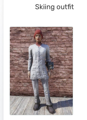 Skiing Outfit + Hat