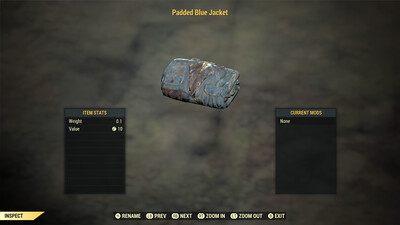 Padded Blue Jacket