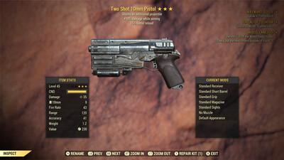 Two Shot 25A/15r 10mm Pistol