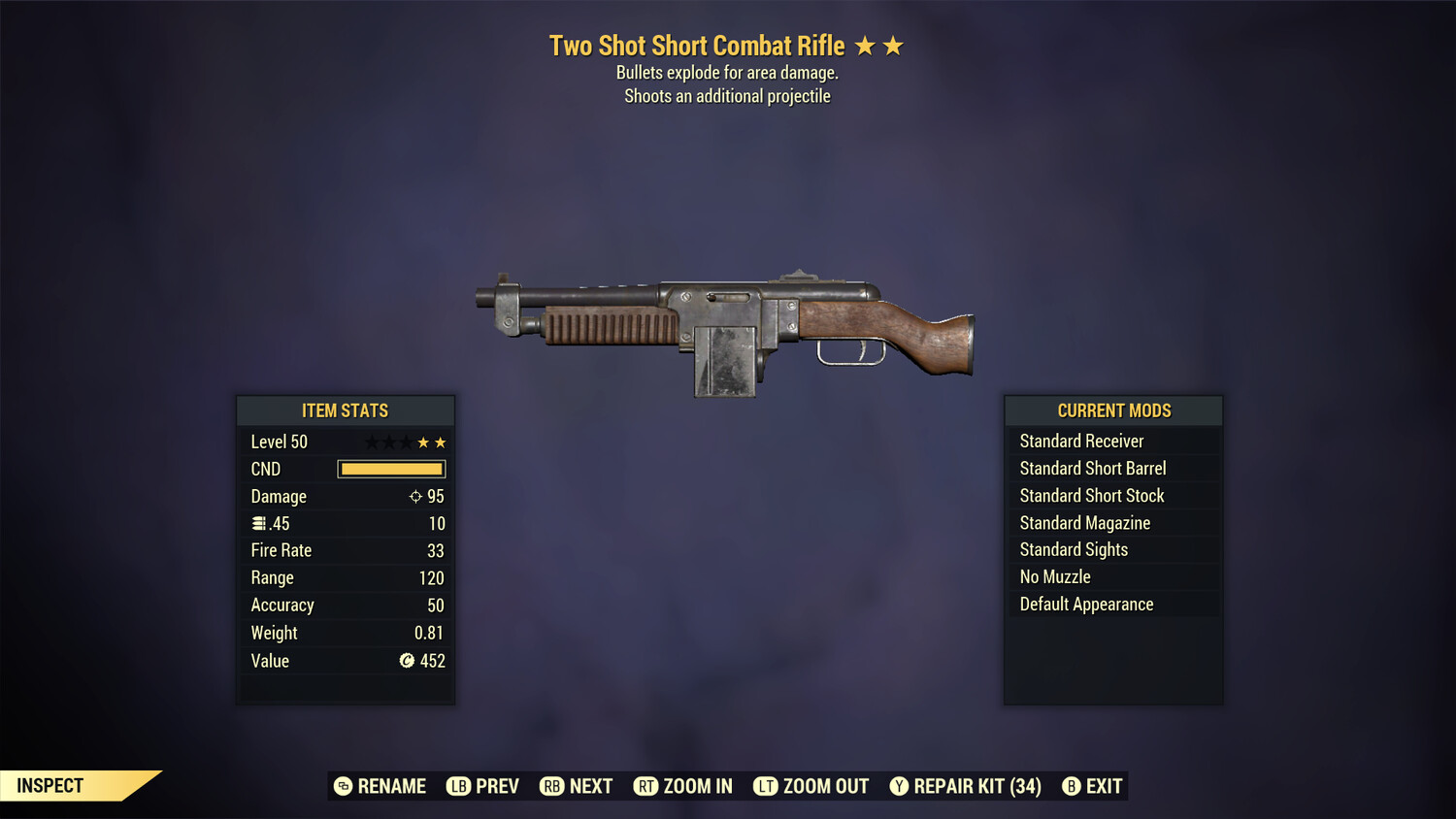 Two Shot Explosive Combat Rifle